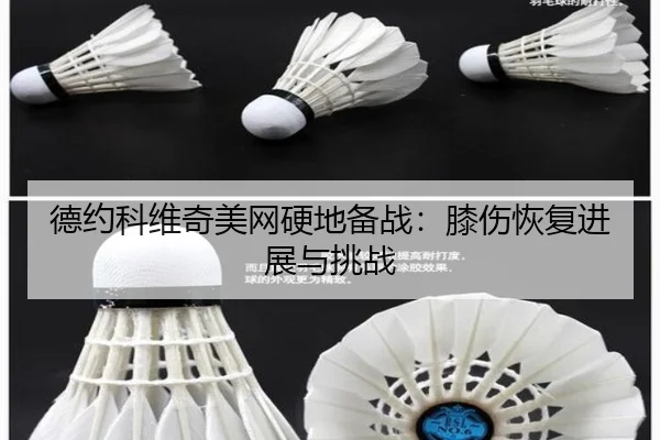 de-yue-ke-wei-qi-mei-wang-ying-di-bei-zhan-xi-shang-hui-fu-jin-zhan-yu-tiao-zhan-2-911.jpg