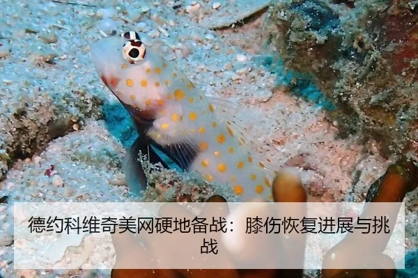 de-yue-ke-wei-qi-mei-wang-ying-di-bei-zhan-xi-shang-hui-fu-jin-zhan-yu-tiao-zhan-3-147.jpg
