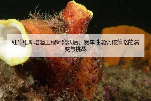 hong-niu-wei-si-ta-pan-gong-cheng-shi-li-dui-hou-sai-che-xing-neng-diao-xiao-ce-lve-de-yan-bian-yu-tiao-zhan-3-604.jpg