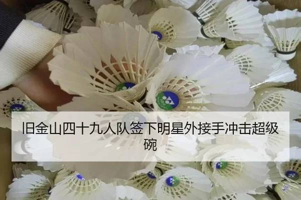 旧金山四十九人队签下明星外接手冲击超级碗