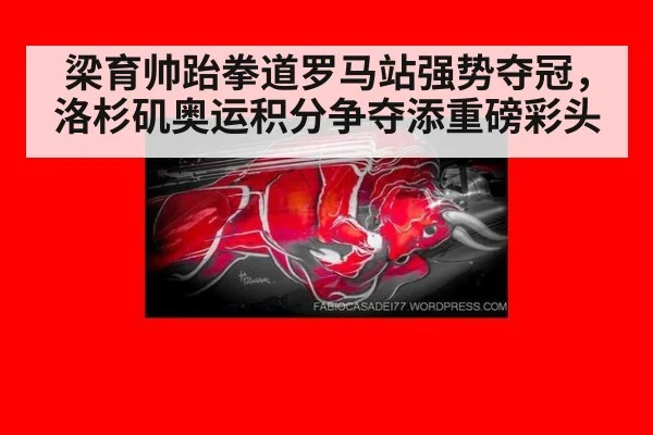 梁育帅跆拳道罗马站强势夺冠，洛杉矶奥运积分争夺添重磅彩头